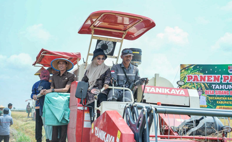 Kemarau Panjang Tak Jadi Halangan, Mesuji Panen Raya Padi dengan Hasil 8 Ton per Hektare