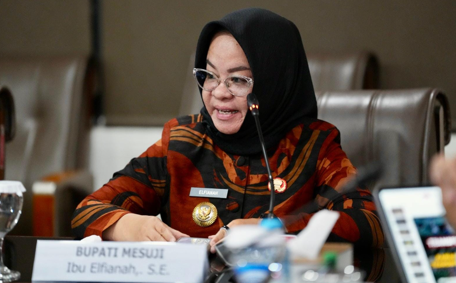 Bupati Elfianah Dua Tahun Memimpin Mesuji, Pembangunan Jalan Jadi Salah Satu Fokus Utama