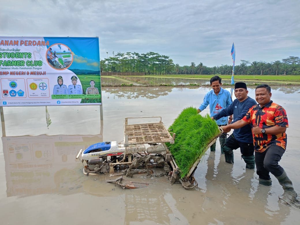 Student Farmer Club, SLTPN 9 Mesuji Ajak Siswa Praktek Langsung Menanam Padi