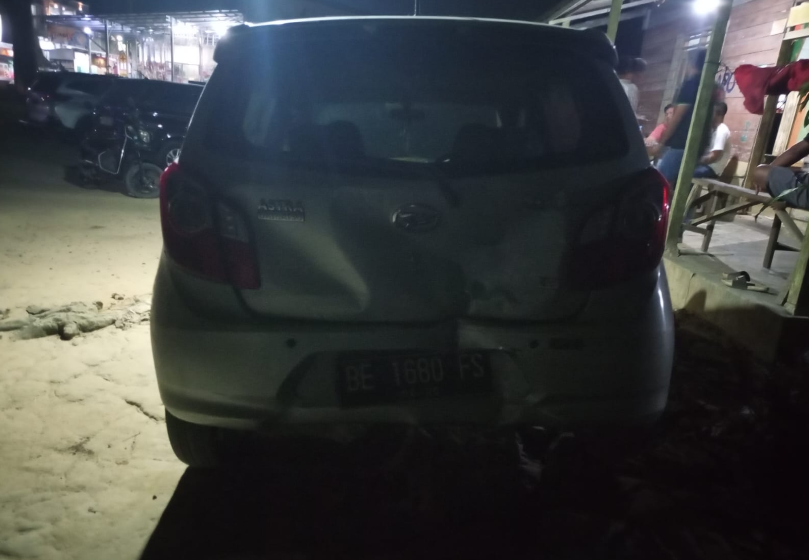 Kronologi Wartawan di Tulang Bawang Diduga Jadi Sasaran Percobaan Pembunuhan dan Penganiayaan