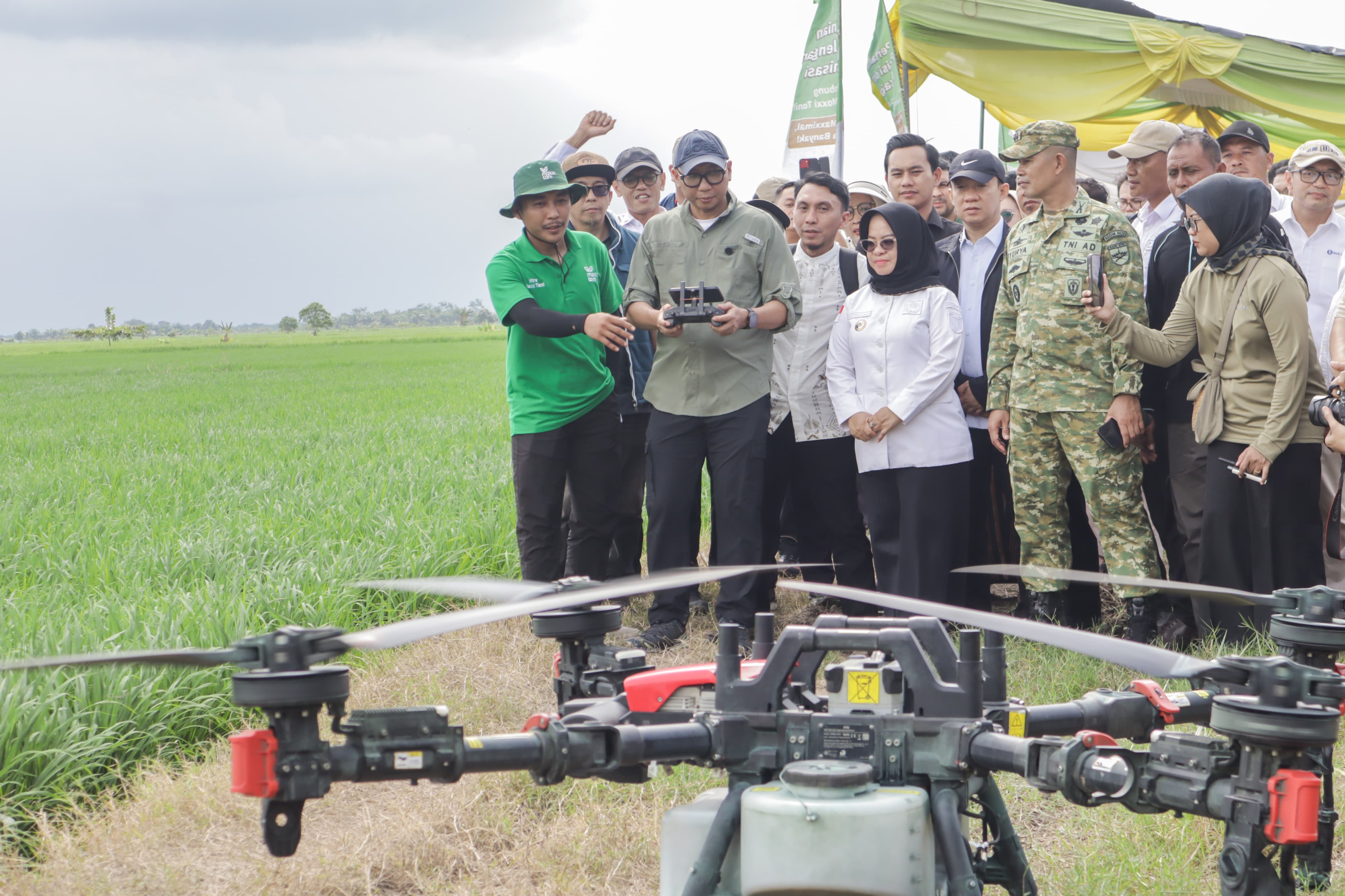 Produksi Gabah di Mesuji Naik, Gubernur Lampung Dorong Petani Terapkan POC