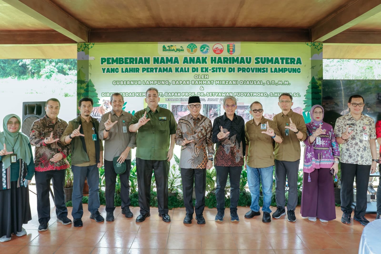 Gubernur Lampung Perkenalkan Dua Anak Harimau Sumatera di Taman Satwa Lembah Hijau
