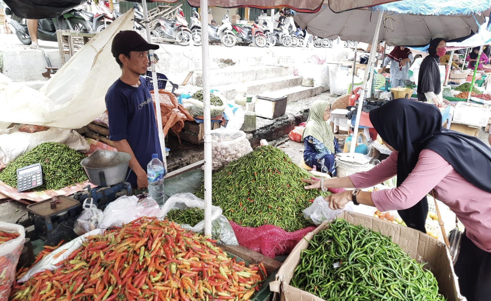 Harga Cabai Merah Keriting Melonjak Naik di Kota Metro