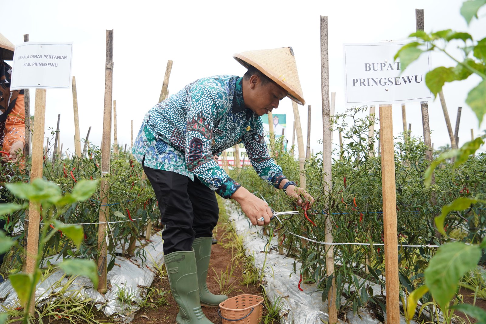 Bupati Pringsewu Lantik Pengurus TP-PKK untuk Periode 2025 - 2030