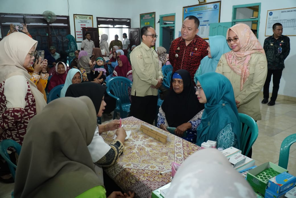 Dukung Program Prioritas Bupati, Ketua TP-PKK Tubaba Ajak Masyarakat Manfaatkan ‘TUBABA Q SEHAT’