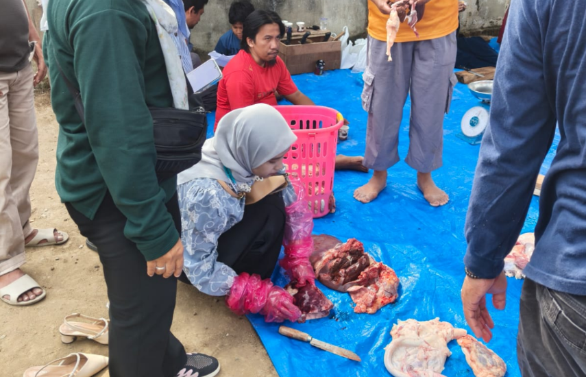 Warga RT/RW 010/002 Hadimulyo Barat Berkurban, 2 Sapi dan 2 Kambing Lolos Uji Kesehatan