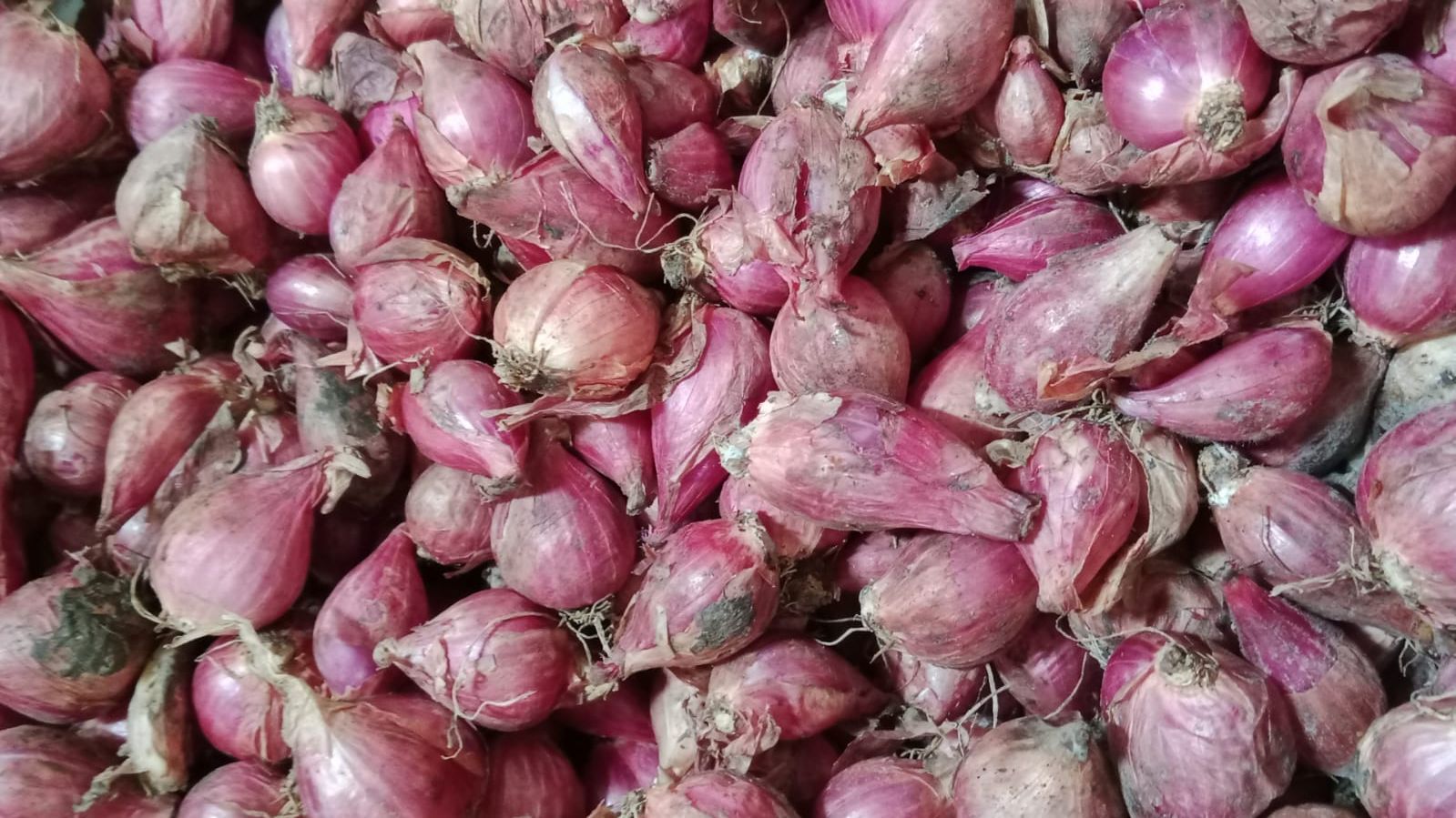 Bawang Merah Naik Jadi Rp37.000, Pedagang di Pasar Sekampung Keluhkan Sepi Pembeli