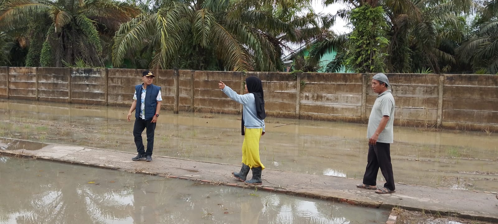  Hujan Deras Rendam Desa Tirtalaga & Sumber Makmur, Camat Mesuji Turun Langsung Pantau Lokasi