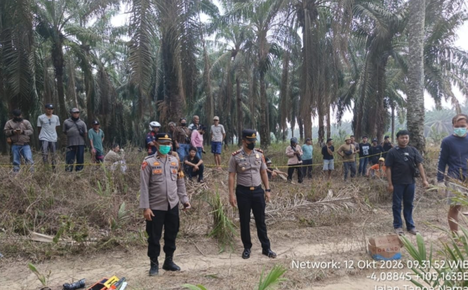 Geger Penemuan Mayat Wanita di Kebun Sawit Mesuji, Polisi Lakukan Olah TKP