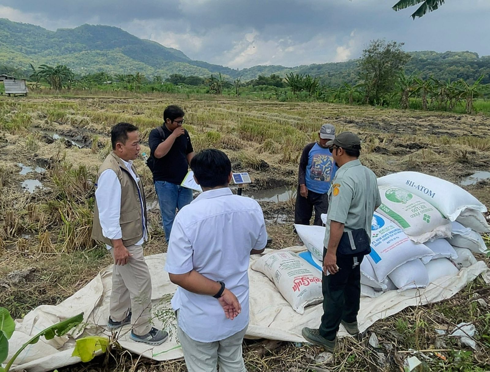 Serapan Capai 101 Ribu Ton, BULOG DIY Tegaskan Komitmen Swasembada Pangan