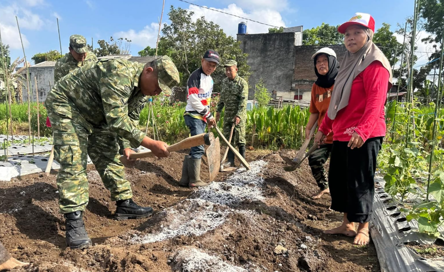 Dukung Ketahanan Pangan, Koramil 11/Depok Salurkan 300 Bibit Cabai ke Kelompok Wanita Tani Sleman