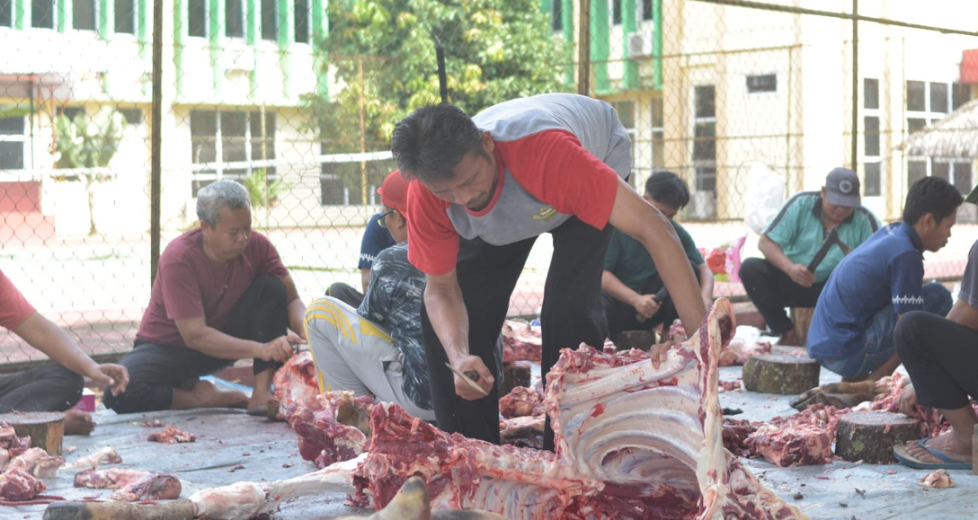UIN Jurai Siwo Lampung Rayakan Iduladha 1446 H dengan Kurban dan Syukuran Transformasi Kampus