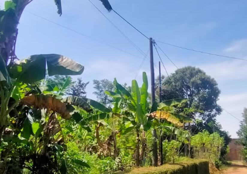 Diduga Belum Kantongi Izin, Infrastruktur Internet Terpasang di Punggur