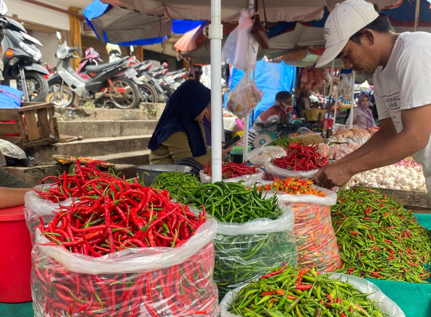 Harga Cabai di Kota Metro Lampung Turun Usai Lebaran