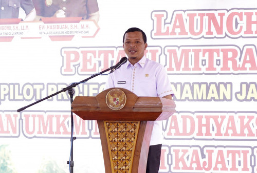  Targetkan Produksi 48.899 Ton Jagung Tahun 2025, Pringsewu Perkuat Kesejahteraan Petani dan UMKM