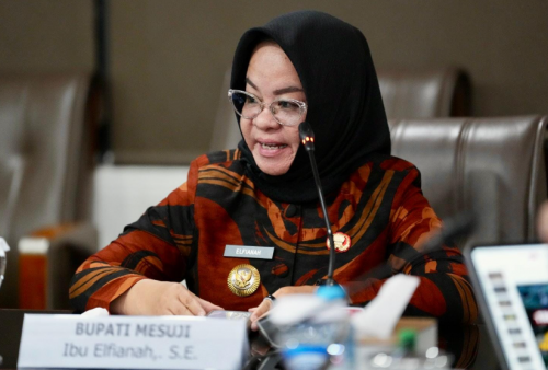 Bupati Elfianah Dua Tahun Memimpin Mesuji, Pembangunan Jalan Jadi Salah Satu Fokus Utama