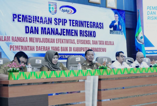Pemkab Pringsewu Perkuat SPIP dan Manajemen Risiko, Bidik Level 3 Jadi Daerah Percontohan