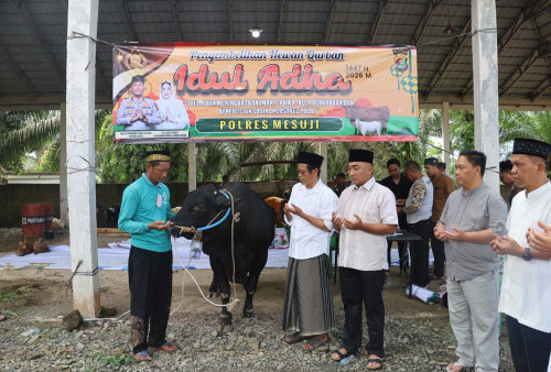Kapolres Mesuji Pimpin Langsung Penyembelihan 19 Hewan Kurban Idul Adha