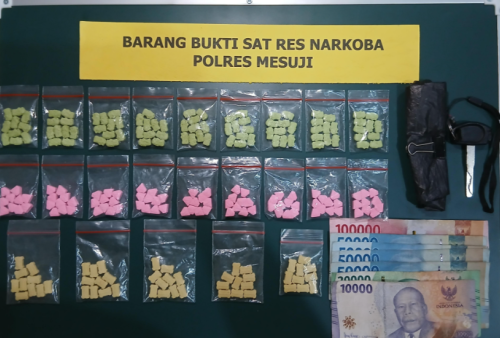 Polres Mesuji Gerebek 2 Lokasi Narkoba, Sita 230 Pil Ekstasi, Sabu dan Senpi Rakitan
