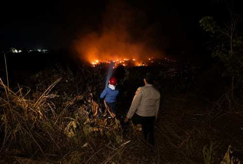 Kapolres Mesuji Apresiasi Respons Cepat Penanganan Karhutla di Simpang Pematang