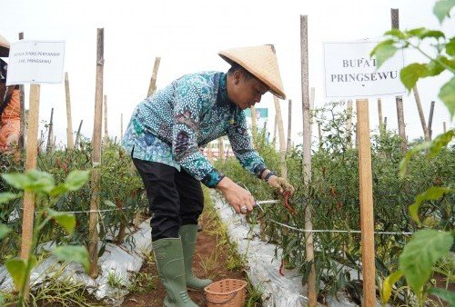 Bupati Pringsewu Lantik Pengurus TP-PKK untuk Periode 2025 - 2030