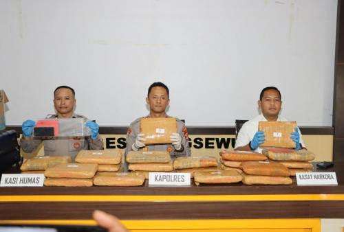 Polres Pringsewu Amankan 24 Kg Ganja, Kurir Lintas Provinsi Asal Sumatera Utara Ditangkap