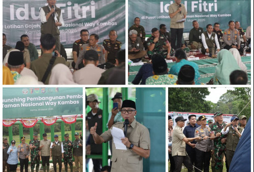 Bangun 138 Km Pembatas di Way Kambas, Solusi Akhiri Konflik Gajah dan Manusia