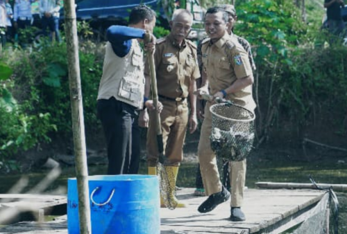 Bupati Riyanto Pamungkas Pimpin Panen Ikan Nila di Pringsewu