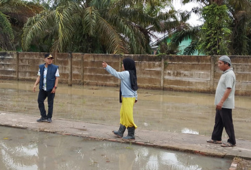  Hujan Deras Rendam Desa Tirtalaga & Sumber Makmur, Camat Mesuji Turun Langsung Pantau Lokasi