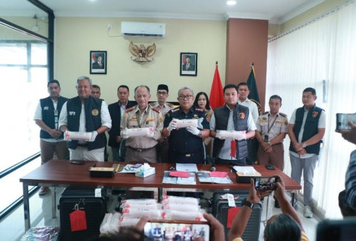 Bea Cukai Yogyakarta Gagalkan Penyelundupan Puluhan Ribu Baby Lobster di Bandara YIA