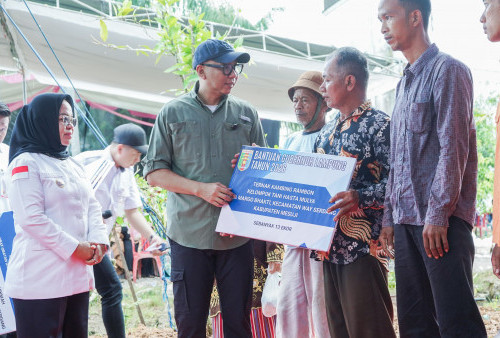 Gubernur Lampung Dorong Modernisasi Pertanian Mesuji Lewat Bantuan Bed Dryer