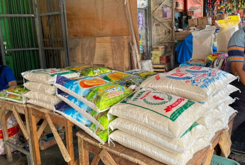 Permintaan Tinggi, Harga Beras di Metro Masih Terkendali