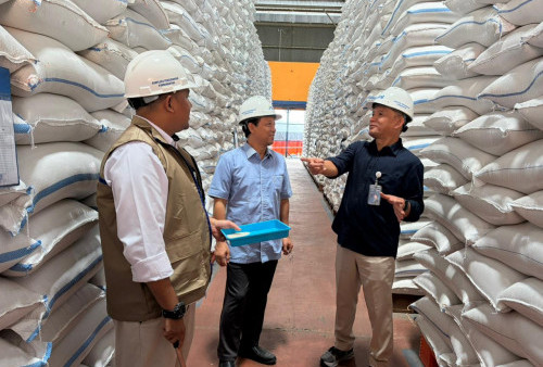 DPD RI DIY Pastikan Stok Pangan Aman, Bulog Catat Surplus Beras dan Serapan Petani Meningkat