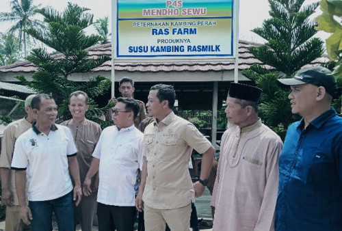 Bupati Pringsewu Tinjau Peternakan Kambing Perah di Sukoharjo