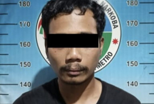 Polres Metro Ringkus Pengedar Tembakau Gorilla di Yosomulyo