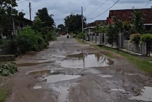 Jalan Poros Komering Agung Tak Kunjung Diperbaiki, Warga Desak Pemkab Lampung Tengah Segera Bertindak
