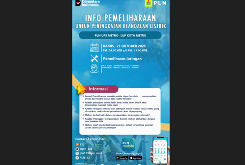Jadwal Pemadaman Listrik di Wilayah Tegineneng 23 Oktober 2025