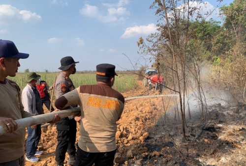 Kebakaran Lahan Tebu Seluas 30 Hektare Melanda Mesuji, Kapolres Turun Langsung Pimpin Pemadaman