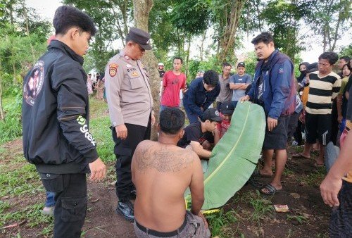 Tragis! Pemuda Pringsewu Ditemukan Tewas Gantung Diri di Pohon Asam