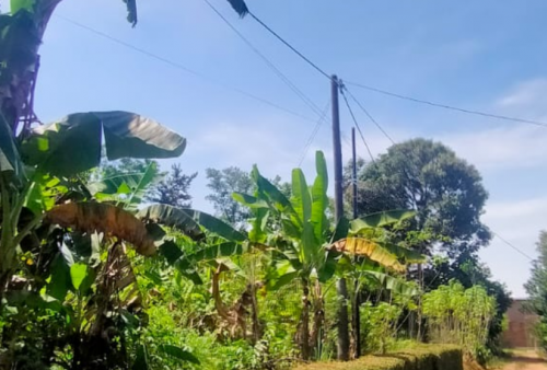 Diduga Belum Kantongi Izin, Infrastruktur Internet Terpasang di Punggur
