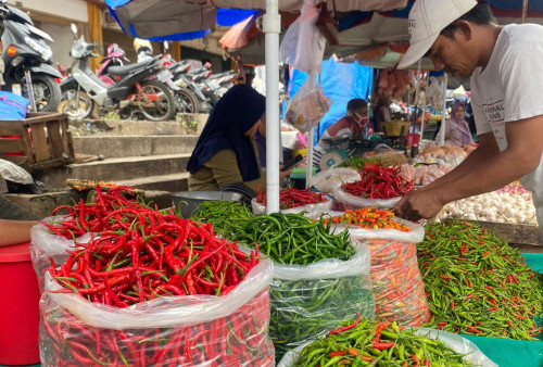 Harga Cabai di Kota Metro Lampung Turun Usai Lebaran