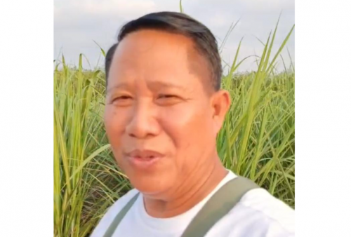 Rekening Dibuka, Petani Tebu Way Kanan Akhirnya Bisa Panen Lagi