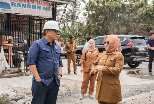 Kemenko IPK Tinjau Pemanfaatan Disposal Tol untuk Perbaikan Jalan Mesuji