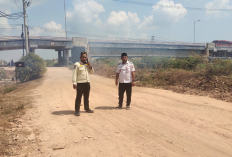 Perbaikan Jalan di Rawa Jitu Utara Mulai Dirasakan Petani, Ongkos Angkut Panen Ikut Menurun