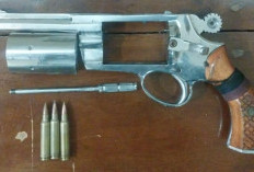 Satreskrim Polres Mesuji Tangkap Tersangka Pemilik Senjata Api Rakitan