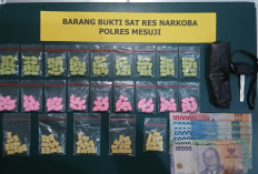 Polres Mesuji Gerebek 2 Lokasi Narkoba, Sita 230 Pil Ekstasi, Sabu dan Senpi Rakitan