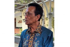 Sri Sultan HB X Ambil Sikap Tegas, Daycare Tanpa Izin di Yogyakarta Ditutup