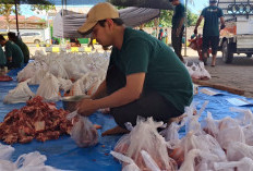 RSU Muhammadiyah Metro dan LAZISMU Potong 13 Sapi dan 4 Kambing di Idul Adha 2026