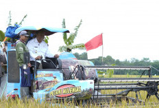 Plt Bupati I Komang Koheri Hadiri Panen Raya Poktan Suka Karya I di Rama Murti
