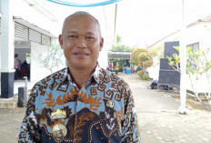 Produktivitas Padi Terancam Hama, DKP3 Metro Dorong Gerakan Gropyokan 
